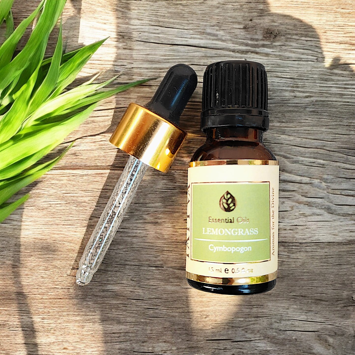 TATTVA Lemongrass Essential Oil