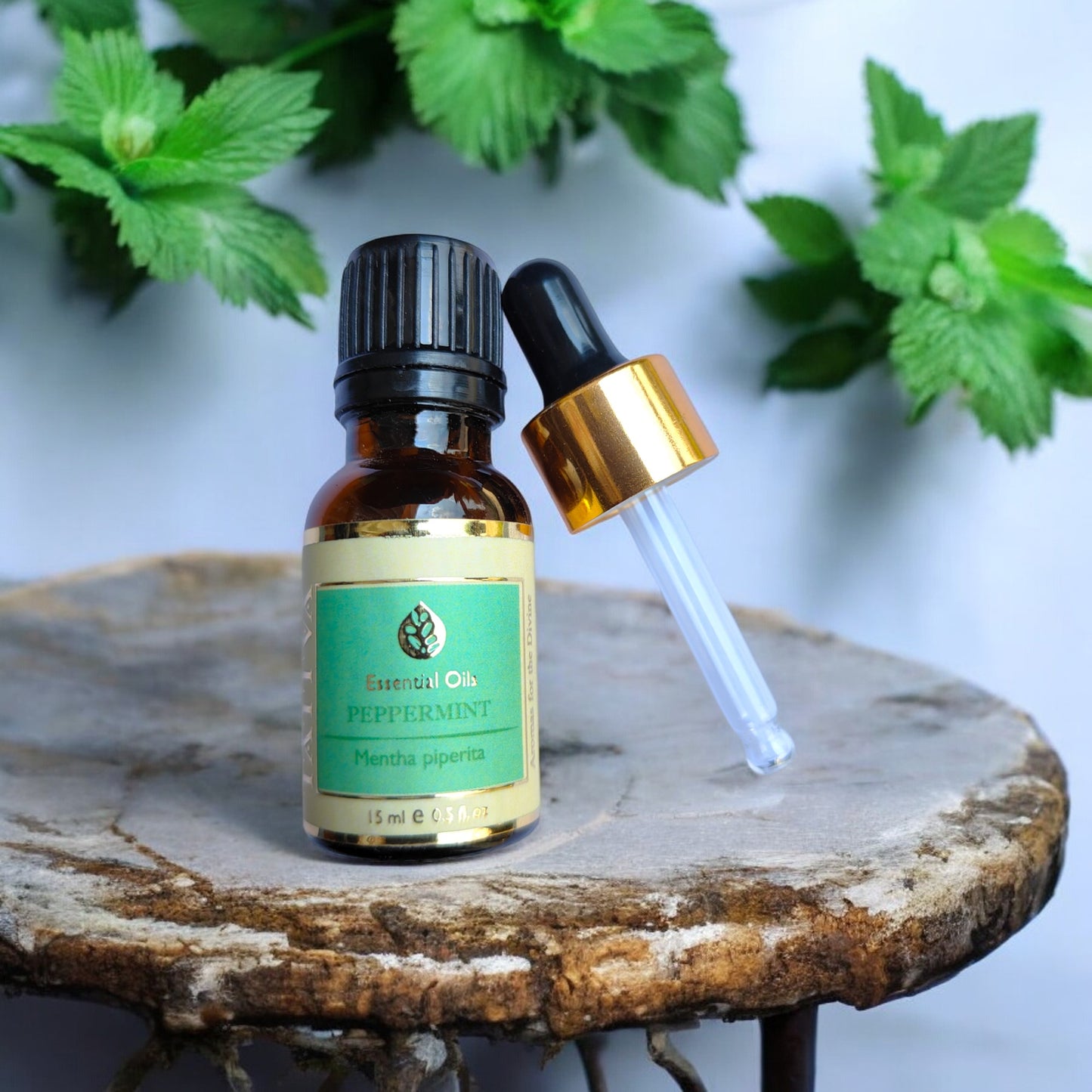 TATTVA Peppermint Essential oil